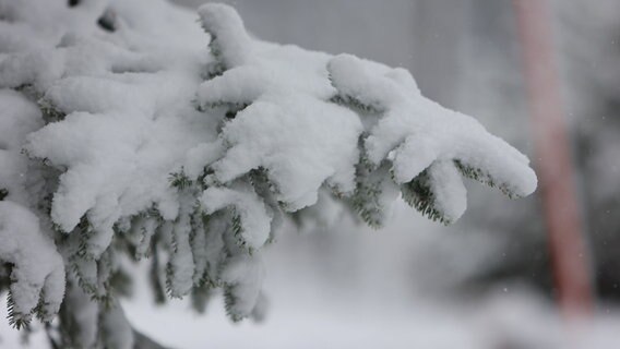 Schnee im Harz © picture alliance/dpa Foto: Matthias Bein