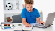Ein Schüler lernt zu Hause © Fotolia.com Foto: Firma V