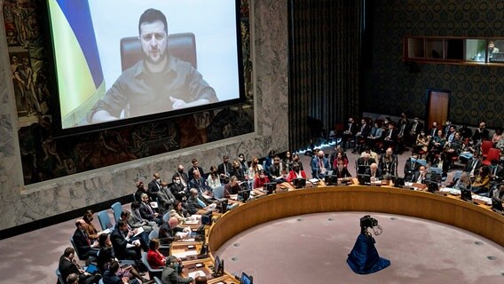 Der eine Rede haltende Wolodymyr Selenskyj, Präsident der Ukraine, ist während einer Sitzung des UN-Sicherheitsrats im Hauptquartier der Vereinten Nationen auf einer Videoleinwand zu sehen. © dpa Bildfunk/AP Foto: John Minchillo