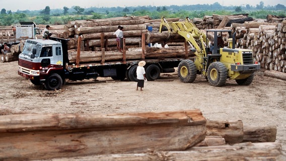 Verladung von Teakholzstämmen mit einem Bagger auf schwere LKW-Transporter auf dem Gelände eines Holzlagers, aufgenommen im November 1997. © picture-alliance/dpa Foto: Leo F. Postl