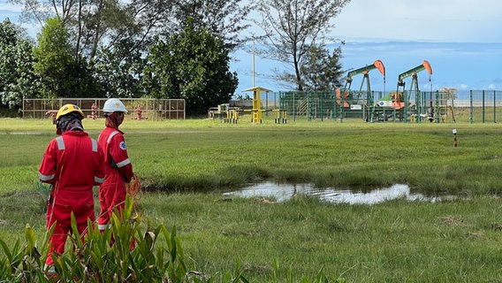 An vielen Orten in Brunei sind Pumpen zu sehen, die das Öl fördern, das das Land Brunei reich gemacht hat. © ARD Foto: Jennifer Johnston