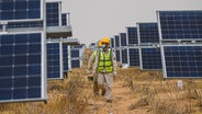 Monteure gehen zwischen großen Solarpaneelen in der mongolischen Wüste. © picture alliance 