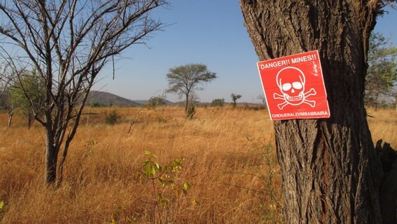 Minen-Warnschild an einem Baum in Mosambik. © Foundation Digger Foto: Foundation Digger