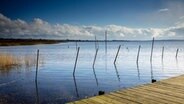 Ein Steg, Wasser und Wolken bei Glowe. © dpa picture alliance Foto: Thomas Koehler