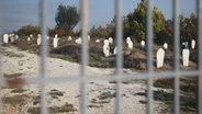 Hinter einem Gitterzaun sind viele schlichte Grabsteine auf Sandboden sichtbar. © ARD Foto: Rüdiger Kronthaler