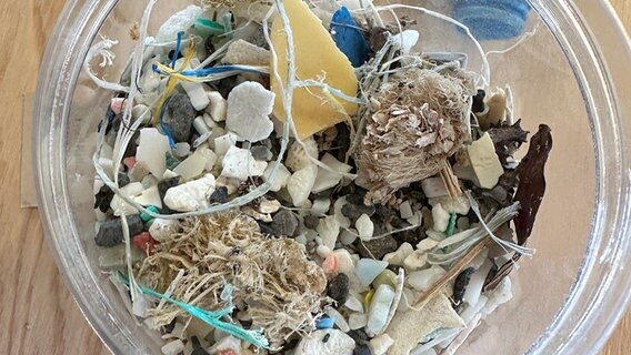 Plastik und Mikroplastik-Teile gesammelt in einer Glasschale. © ARD Foto: Christine Schacht