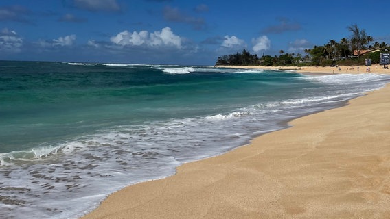 Der Strand von Sunset-Beach, Hawaii. © ARD Foto: Christine Schacht