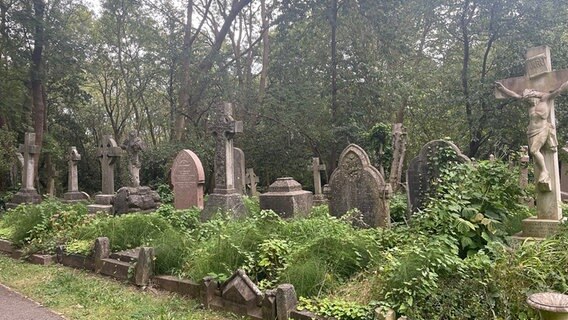 Viele Grabsteine, von vielen Pflanzen umwachsen, auf dem Highgate Cemetery, London. © ARD Foto: Anouk Schollähn
