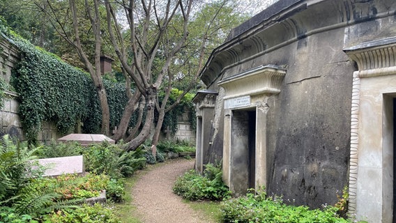 Ein Weg auf dem Londoner Friedhof Highgate Cemetery © ARD Foto: Anouk Schollähn