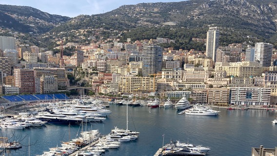 Der Hafen von Monaco © ARD Foto: Stefanie Markert, ARD Paris