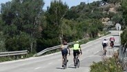 Radfahrer auf ihren Rennrädern auf einer Bergstraße bei Valldemossa auf Mallorca. © picture alliance Foto: Alexandra Schuler