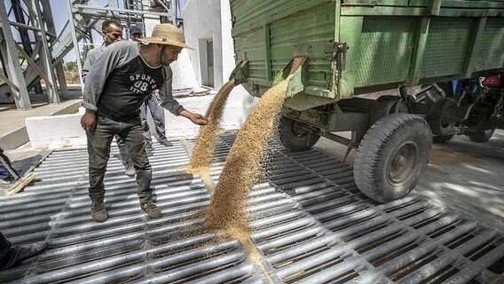 Getreide fällt aus einem Laster in ein Silo. © picture alliance / AA Foto: Yassine Gaidi