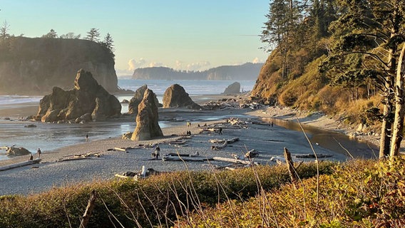 Strand, Leute und Wälder und Felsen am Ruby Beach © ARD Foto: Katharina Wilhelm