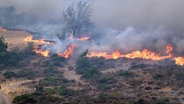 Brennender Wald in Spanien. © picture alliance / Europa Press Foto: Fabián Simón