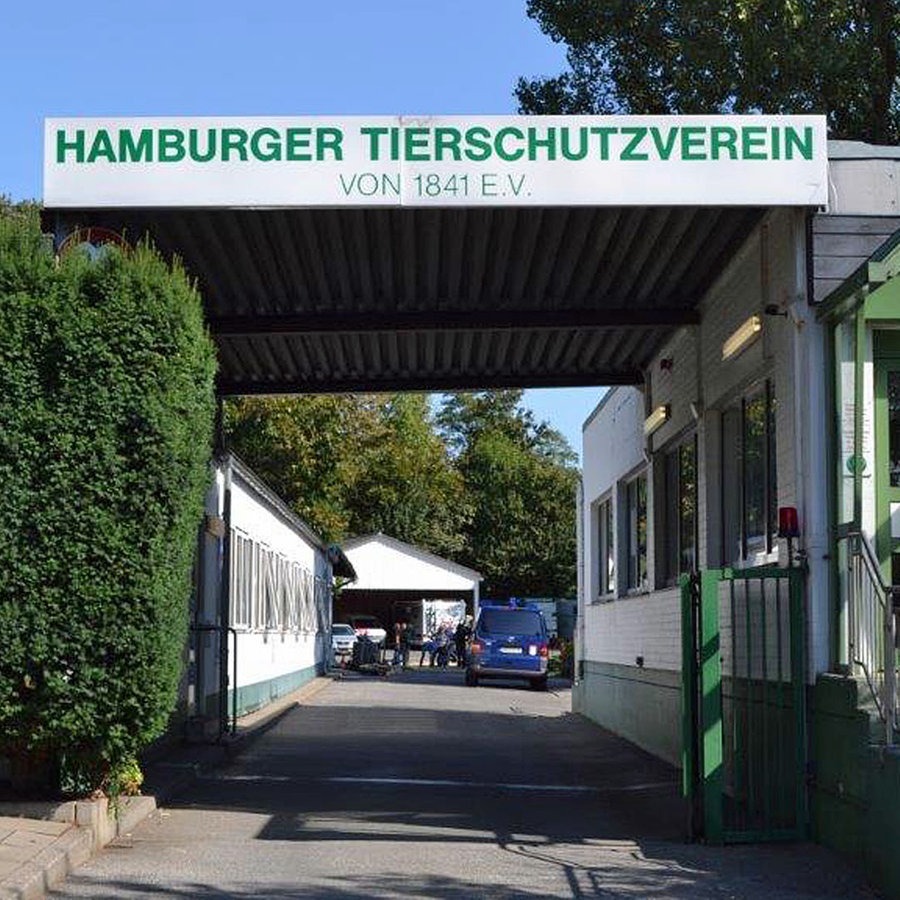 Eingang zum Hamburger Tierschutzverein Süderstraße © Tierheim Süderstraße 