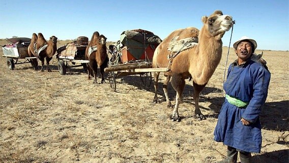 Nomaden in der Mongolei © picture-alliance/ dpa/dpaweb 