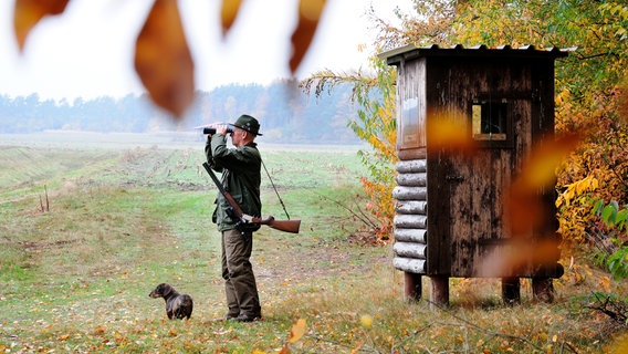 Ein Jäger steht neben einem Hochsitz und beobachtet mit seinem Fernglas die Umgebung. © Fotolia Foto: noxmox
