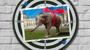 Eine Fotomontage zeigt eine Elefanten mit einer roten Schleife um den Körper vor dem Reichstags Gebäude in Berlin. © picture alliance / Supupress.de / Okapia KG Foto: Vorwerk, Marc; Kelm, Frierich W. Kelm