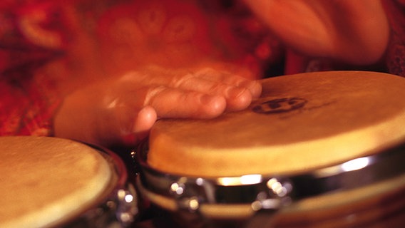 Hände, die auf Bongos trommeln. © Comstock Images Foto: Comstock Images