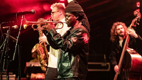 Der Trompeter Peter Somuah mit seiner Band © picture alliance / ANP | Paul Bergen 