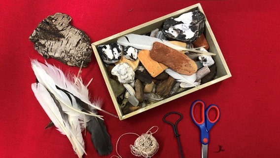 Eine Schachtel mit Muscheln, Steinen und Federn © NDR/Mikado 