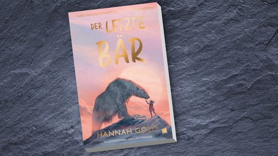Cover des Kinderbuches "Der letzte Bär" von Hannah Gold, erschienen im Verlag von Hacht. © Verlag von Hacht 