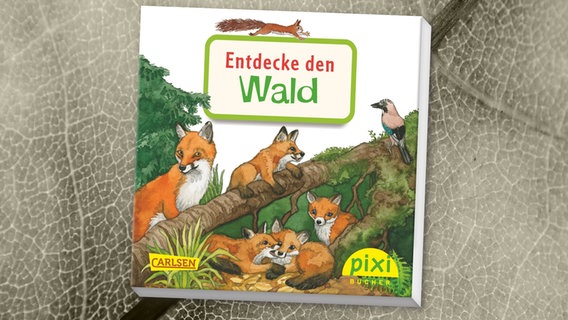 Cover des Kinderbuches "Entdecke den Wald" von Cordula Thörner, erschienen im Carlsen Verlag . © Carlsen Verlag 