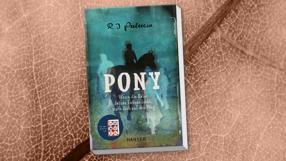 Cover des Kinderbuches "Pony - Wenn die Reise deines Lebens lockt, mach dich auf den Weg" von R. J. Palacio, erschienen im Hanser Verlag. © Hanser Verlag 