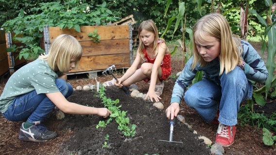 Drei Kinder hacken in Erde. © NDR Mikado Foto: Fatma Sahin