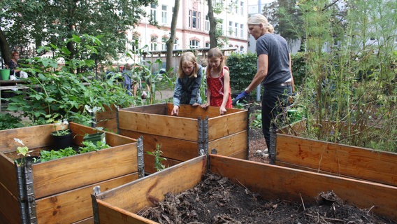 Zwei Kinder wühlen in einem Hochbeet. © NDR Mikado Foto: Fatma Sahin