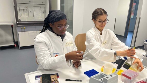 Schülerinnen und Schüler sitzen an Tischen im MINTarium. © NDR Mikado Foto: Ines Kaffka