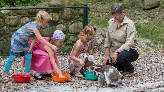 Kinder im Schweriner Zoo schauen einem Pinguin beim Essen zu.  Foto: Erhard Heiden