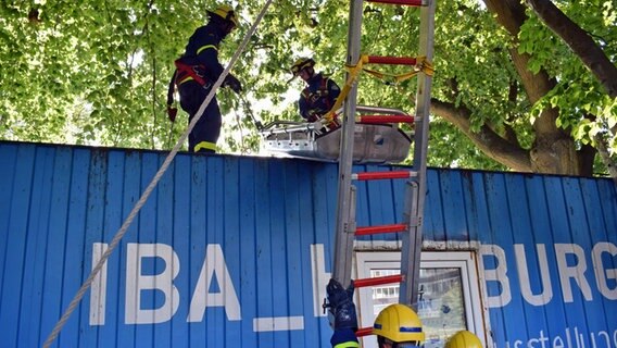 Junghelfer des THW befestigen bei einer Übung eine Tragbahre an einer Leiter. © NDR Foto: Lenne Kaffka