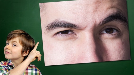 Ein Junge mit gehobenem Zeigefinger steht vor einer Tafel, an der ein Foto haftet: Augenbrauen. © Fotolia.com Foto: Junge vor Tafel: photophonie, Foto: alfredogarciatv