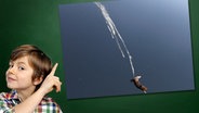 Ein Junge mit gehobenem Zeigefinger steht vor einer Tafel, an der ein Foto haftet: Vogelkot © Fotolia.com Foto: Junge vor Tafel: photophonie, Foto: WoGi