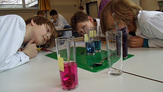 Kinder stehen um einen Tisch herum, auf dem sich Gläser mit farbigen Flüssigkeiten befinden. © NDR Foto: Aline König