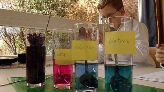 Gläser mit verschiedenfarbigen Flüssigkeiten und den Beschriftungen "Essig", "Wasser", Natron". © NDR Foto: Aline König