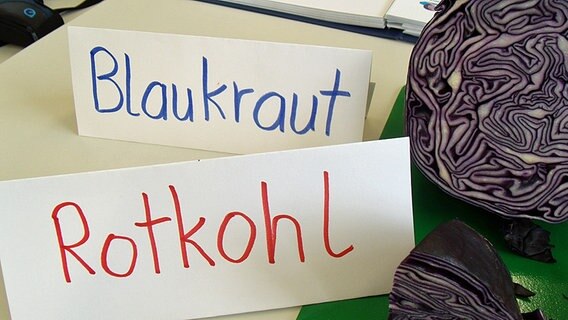 Zwei Papierschilder mit den Aufschriften "Rotkohl" und "Blaukraut". © NDR Foto: Aline König