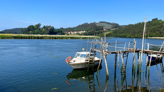 Ein Boot liegt neben einem Steg, davor ist Schilf zu erkennen, hinter dem Fluss sind Berge zu sehen © NDR Foto: Carsten Vick