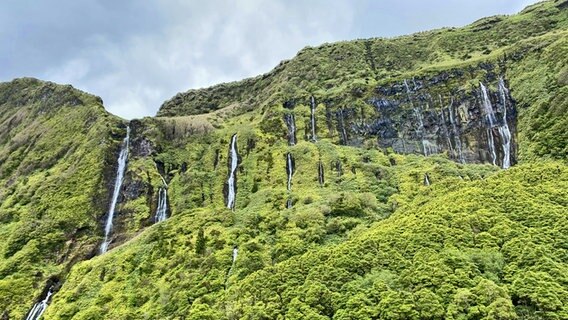 Die berühmten Wasserfälle auf der Azoren-Insel Flores © NDR Foto: Oliver Neuroth