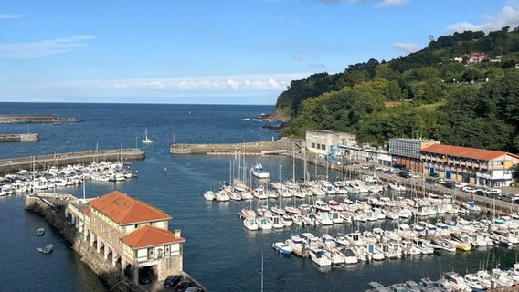 Ein Hafen mit vielen Segelschiffen, Jollen und Molen, dahinter die Küste von Zumaia (Baskenland) © NDR Foto: Carsten Vick