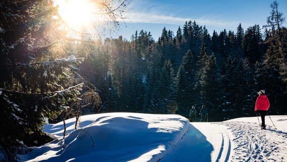 Eine Person wandert in einer verschneiten Landschaft in Südtirol © NDR Foto: Alexander Tempel