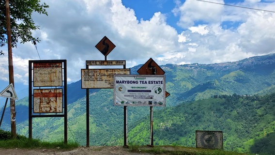 Schilder mit Aufschriften wie "Marybong Tea Estate" und auf indisch in den Bergen um den Ort Darjeeling in Indien, darüber weiße Wolken © NDR Foto: Samuel Jackisch