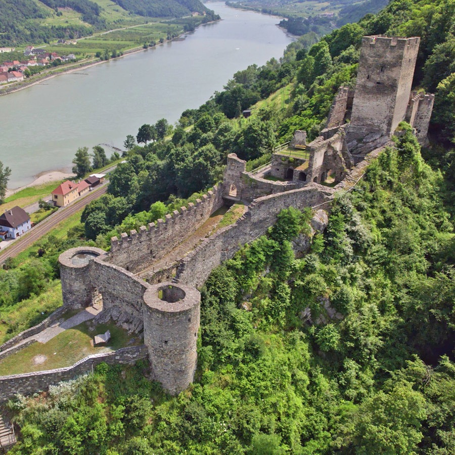 Die Donau aus Vogelflugperspektive, am Ufer windet sich eine große lange Burg auf einem Hügel © NDR Foto: Rita Knobel-Ulrich