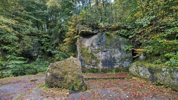 Große, von Moss und Grün bewachsene Steinquader von einem römischen Steinbruch in der Eifel © NDR Foto: Ilka Tempel