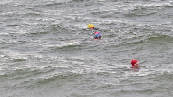 Blackrock Lady Swimmers baden mit bunten Badekappen im eiskalten Meer bei Galway © NDR Foto: Julia Rauner