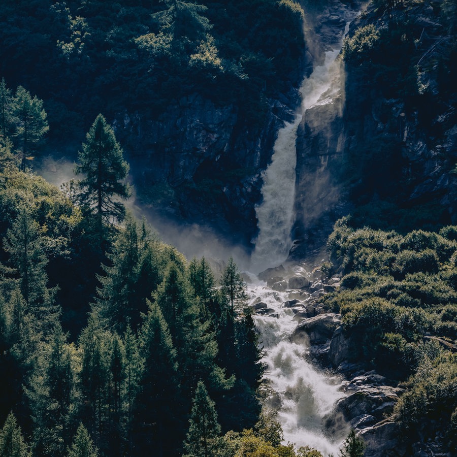 Ein tosender Floss mit Wasserfall zwischen Tannenwäldern in Osttirol, in Hohen Tauen © NDR Foto: Ilka Tempel