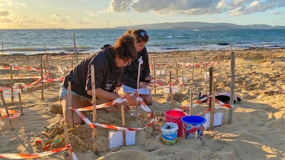 Poppy Olliver und Annya McKenzie am Strand sind Schildkrötenretter der NGO Wildlife Sense auf Kefalonia © NDR Foto: Till Lehmann