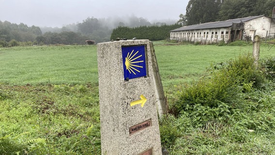 Ein Schild in einem Stein am Wegesrand deutet auf den Jakobsweg hin © NDR Foto: Dennis Burk und Julia Küppers  