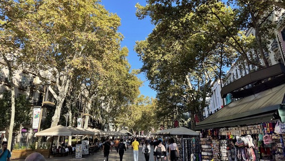 Eine Allee mit Bäumen und Passanten in Barcelona, genannt La Rambla © NDR Foto: Dennis Burk und Julia Küppers  